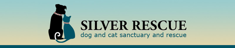 Silver Rescue
